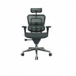 ergo1