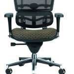 eurotech ergohuman fabric